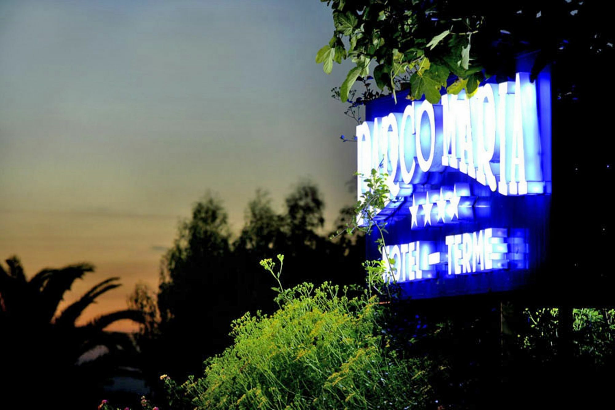 Hotel Parco Maria Terme Forio di Ischia Exterior foto