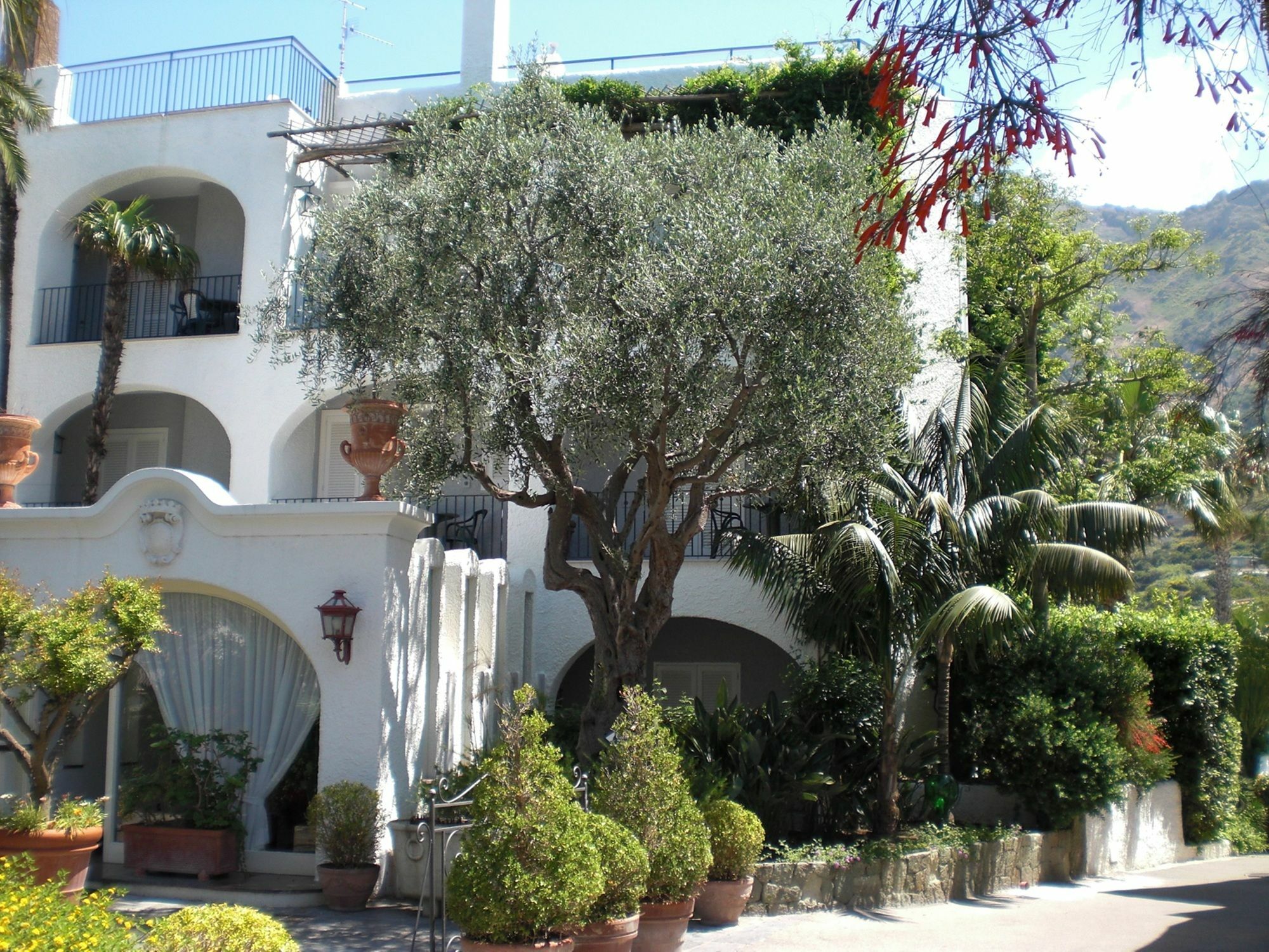 Hotel Parco Maria Terme Forio di Ischia Exterior foto